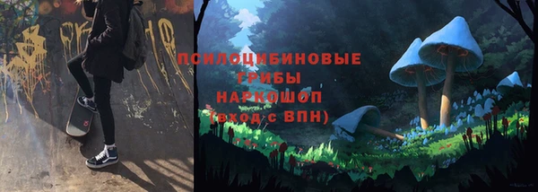 МДПВ Белокуриха