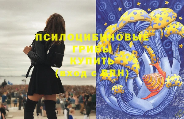 гидра Беломорск