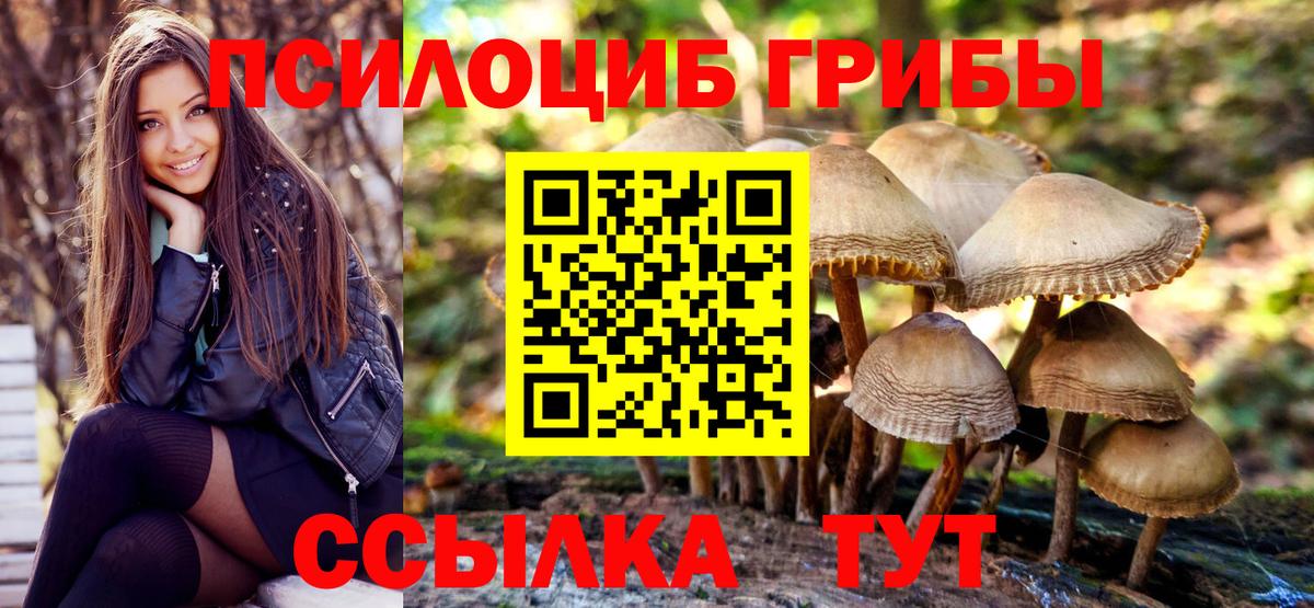 Галлюциногенные грибы ЛСД  Вход с VPN  Большой Камень  Галлюциногенные грибы Magic Shrooms 