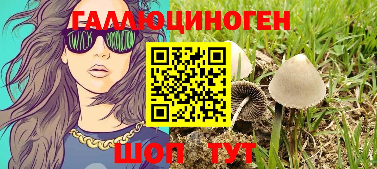 Псилоцибиновые грибы Psilocybine cubensis Большой Камень