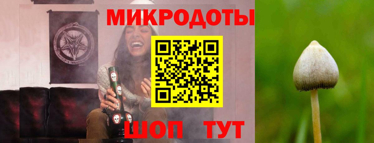 Галлюциногенные грибы Cubensis Большой Камень